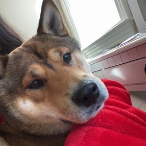 Meet your Posher, Aracely